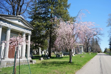 This view can be seen on Grove Avenue where there are many mausoleums erected.